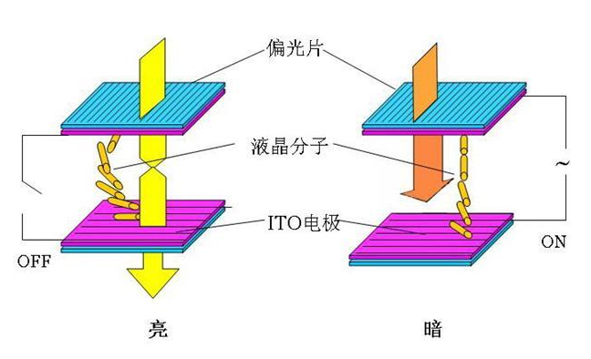 液晶的光學(xué)效果.png